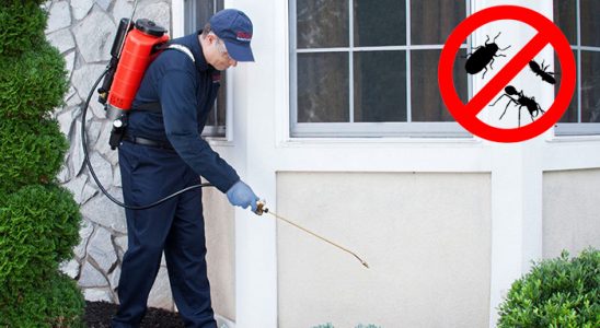 Hendek Karınca İlaçlama böcek ilaçlama ve haşere kontrolü — ilaclama-tr.com